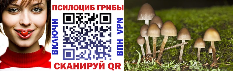 Галлюциногенные грибы ЛСД Багратионовск